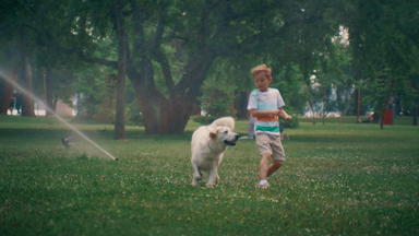 男孩运行可爱的狗快乐的金寻回犬阳光明媚的一天公园